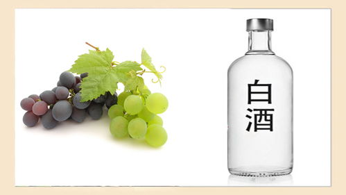 酒桌上“千杯不倒”的秘密，快來看看你知道幾個