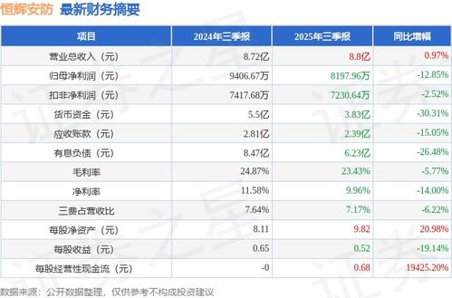 恒輝安防2025年三季報簡析 增收不增利，應收賬款高企，安全評價業務引關注